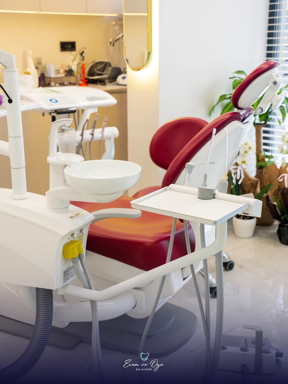Klinik karesi