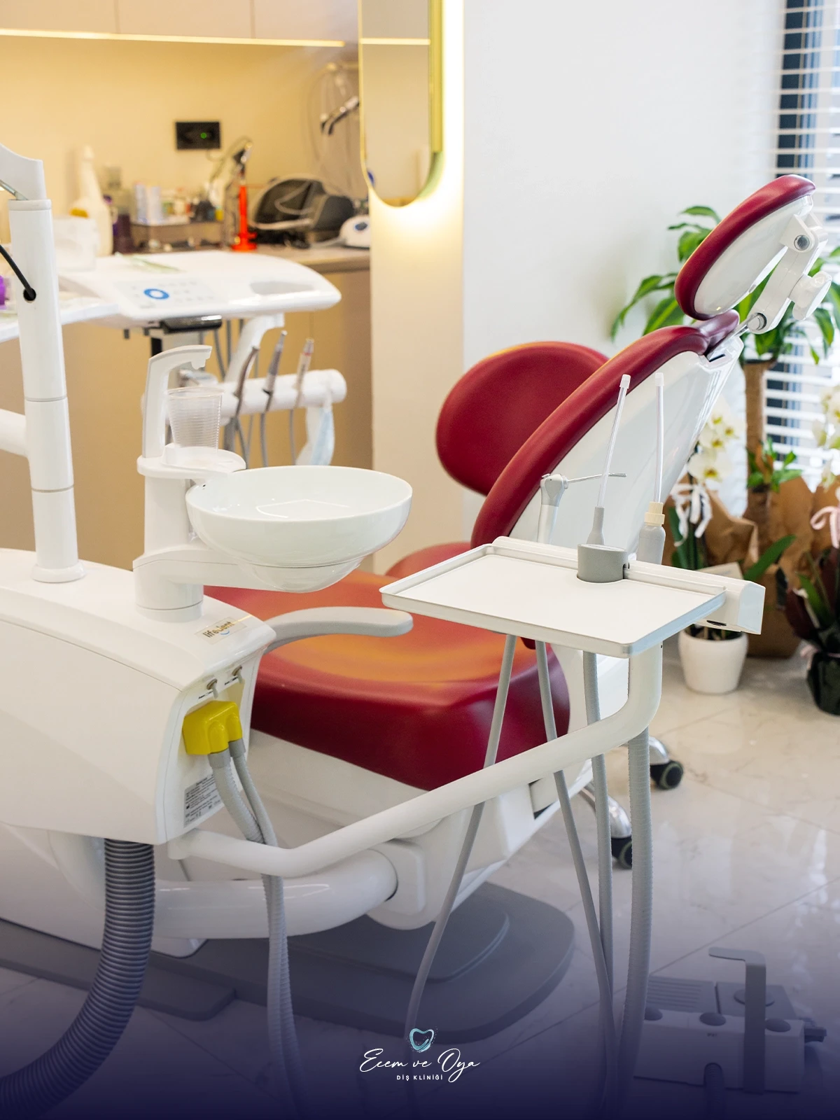 Klinik karesi